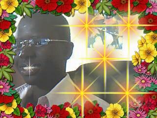 lamine